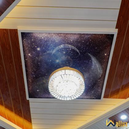 Feedback từ khách hàng của Wallux