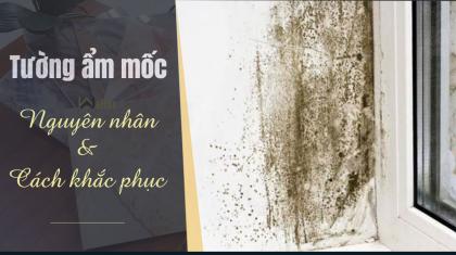 Tường nhà bị ẩm mốc có nên thi công tấm ốp tường pvc giả đá không?