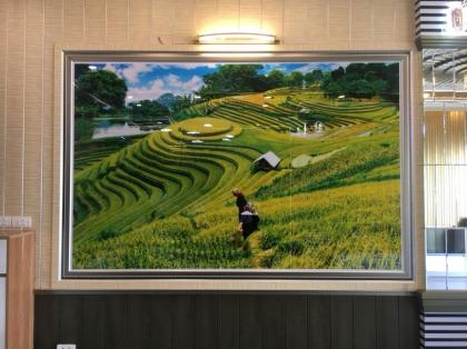 Tranh ốp tường tráng gương