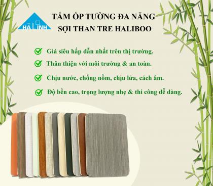 Lý giải sức hút của tấm ốp tường than tre Haliboo
