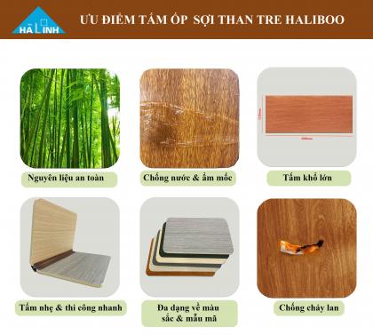Giới thiệu tấm ốp đa năng sợi than tre Haliboo
