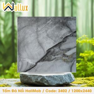 TẤM ĐÁ DẬP NỔI HALIMAB 2402