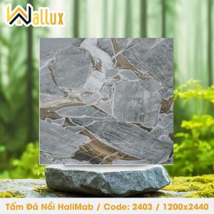 TẤM ĐÁ DẬP NỔI HALIMAB 2403