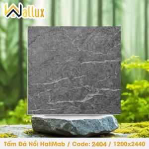 TẤM ĐÁ DẬP NỔI HALIMAB 2404