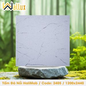 TẤM ĐÁ DẬP NỔI HALIMAB 2405