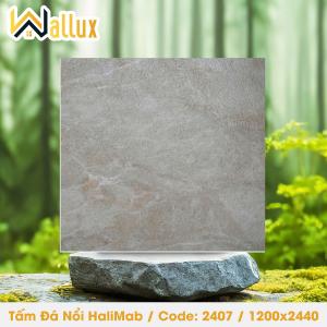 TẤM ĐÁ DẬP NỔI HALIMAB 2407