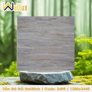 TẤM ĐÁ DẬP NỔI HALIMAB 2409