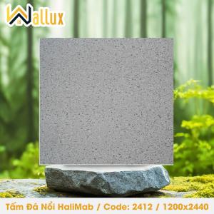 TẤM ĐÁ DẬP NỔI HALIMAB 2412