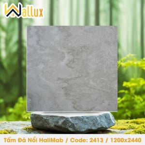 TẤM ĐÁ DẬP NỔI HALIMAB 2413