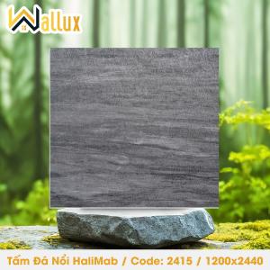 TẤM ĐÁ DẬP NỔI HALIMAB 2415