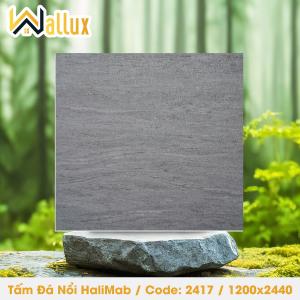 TẤM ĐÁ DẬP NỔI HALIMAB 2417