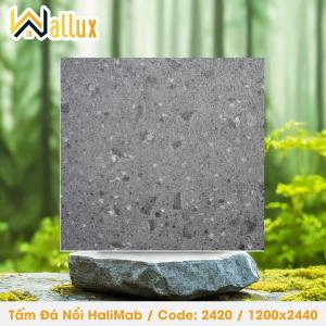 TẤM ĐÁ DẬP NỔI HALIMAB 2420