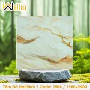 TẤM ĐÁ BÓNG GƯƠNG HALIMAB 2904