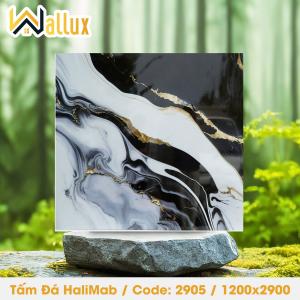 TẤM ĐÁ BÓNG GƯƠNG HALIMAB 2905