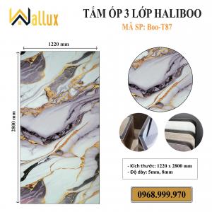 TẤM ỐP TƯỜNG 3 LỚP HALIBOO Boo T87