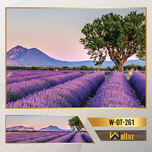 Bức tranh ốp tường thương hiệu Wallux