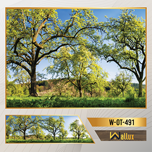 Bức tranh ốp tường thương hiệu Wallux