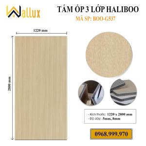 TẤM ỐP TƯỜNG 3 LỚP HALIBOO G537