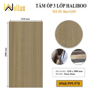 TẤM ỐP TƯƠNG 3 LỚP HALIBOO BOO - G539