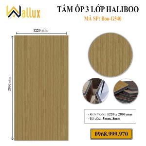 TẤM ỐP TƯƠNG 3 LỚP HALIBOO BOO - G540