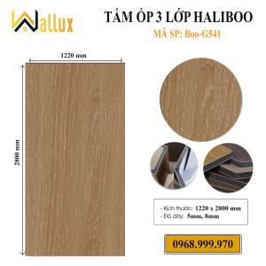 TẤM ỐP TƯỜNG 3 LỚP HALIBOO BOO - G541