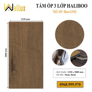 TẤM ỐP 3 LỚP HALIBOO G542