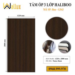 TẤM ỐP TƯỜNG 3 LỚP HALIBOO BOO - G543