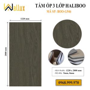 TẤM ỐP TƯỜNG 3 LỚP HALIBOO BOO - G546