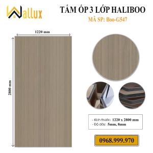 TẤM ỐP TƯỜNG 3 LỚP HALIBOO BOO - G547