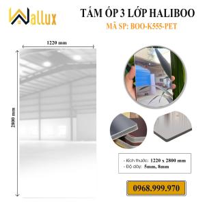 TẤM ỐP TƯỜNG 3 LỚP HALIBOO BOO - K555 PET