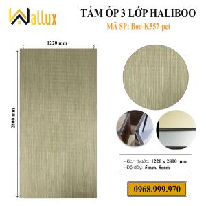 TẤM ỐP TƯỜNG 3 LỚP HALIBOO BOO - K557 PET