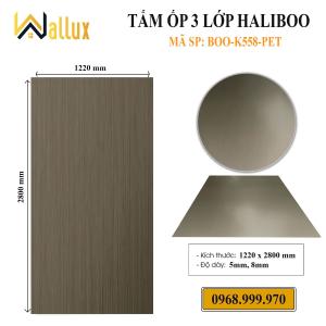 Tấm Ốp 3 Lớp Haliboo BOO - K559 PET