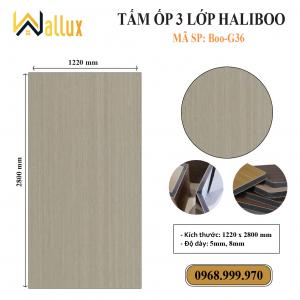 TẤM ỐP TƯỜNG 3 LỚP HALIBOO Boo G36