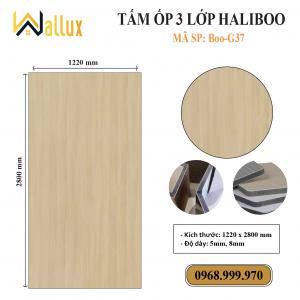 TẤM ỐP TƯỜNG 3 LỚP HALIBOO Boo G37