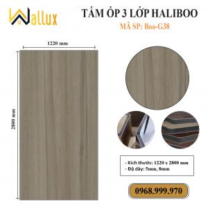 TẤM ỐP TƯỜNG 3 LỚP HALIBOO Boo G38