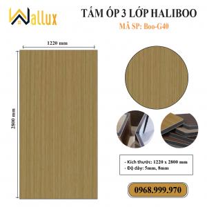 TẤM ỐP TƯỜNG 3 LỚP HALIBOO Boo G40