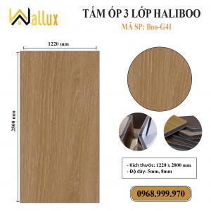 TẤM ỐP TƯỜNG 3 LỚP HALIBOO Boo G41