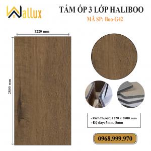 TẤM ỐP TƯỜNG 3 LỚP HALIBOO Boo G42