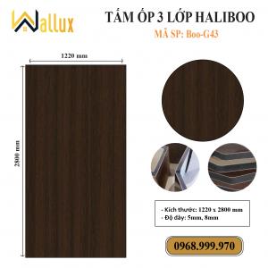TẤM ỐP TƯỜNG 3 LỚP HALIBOO Boo G43