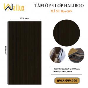 TẤM ỐP TƯỜNG 3 LỚP HALIBOO Boo G45