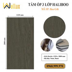 TẤM ỐP TƯỜNG 3 LỚP HALIBOO Boo G46