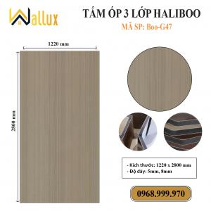 TẤM ỐP TƯỜNG 3 LỚP HALIBOO Boo G47