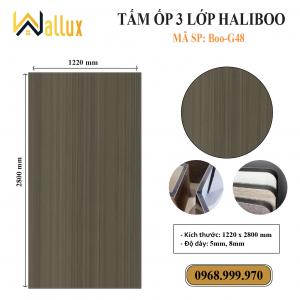 TẤM ỐP TƯỜNG 3 LỚP HALIBOO Boo G48