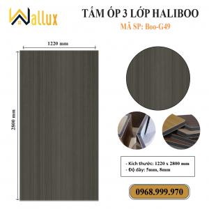 TẤM ỐP TƯỜNG 3 LỚP HALIBOO Boo G49
