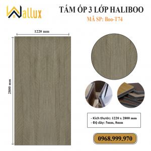 TẤM ỐP TƯỜNG 3 LỚP HALIBOO Boo T74