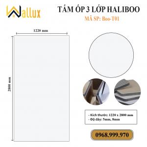TẤM ỐP TƯỜNG 3 LỚP HALIBOO Boo T01