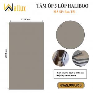 TẤM ỐP TƯỜNG 3 LỚP HALIBOO Boo T51