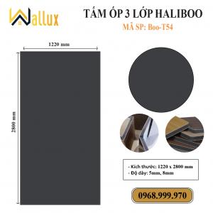 TẤM ỐP TƯỜNG 3 LỚP HALIBOO Boo T54