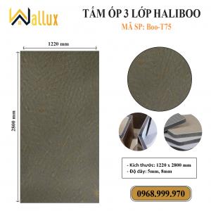 TẤM ỐP TƯỜNG 3 LỚP HALIBOO Boo T75