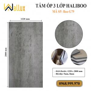 TẤM ỐP TƯỜNG 3 LỚP HALIBOO Boo G79